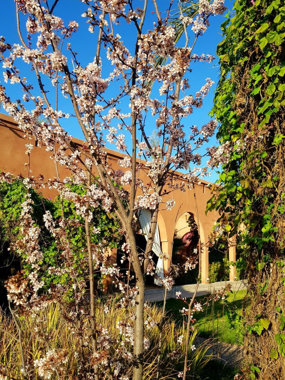 Ksar Salha Hotel Douar Draa Luaran gambar