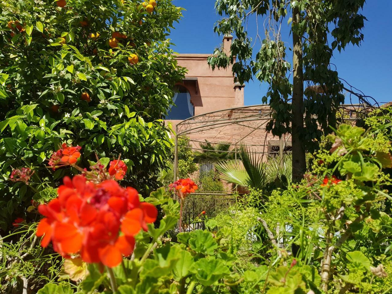 Ksar Salha Hotel Douar Draa Luaran gambar